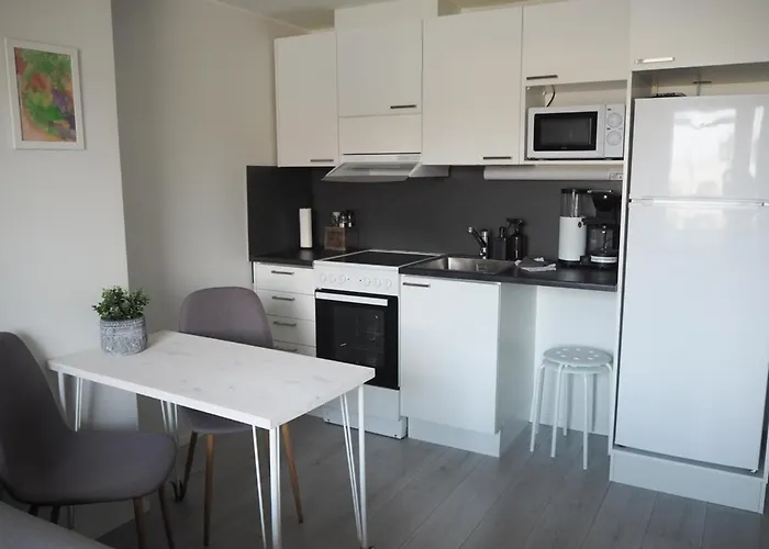 Valoisa Ja Kompakti Yksioe Nokian Ydinkeskustassa Nokia